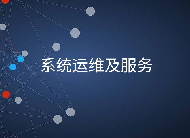 服務(wù)團(tuán)隊(duì)及運(yùn)維系統(tǒng)